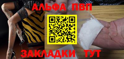 кокс Кингисепп